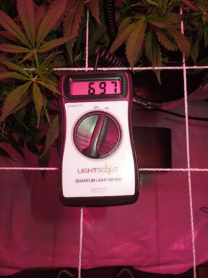 008.JPG