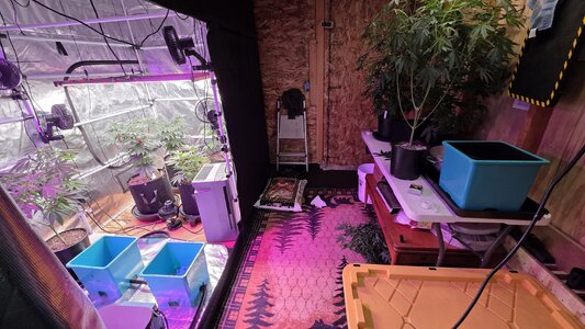 20250929_030909.jpg