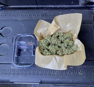 IMG_2394[1].jpeg