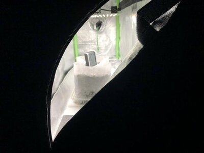 IMG_6726.jpeg