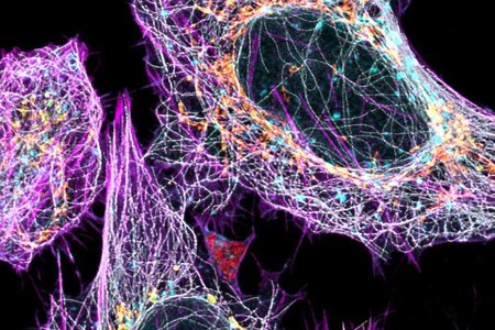 csm_multicolor-gallery-header_1579c082ad.jpg