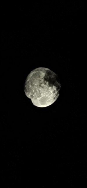 20251004_195725.jpg