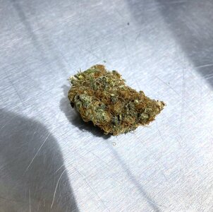 IMG_2431[1].jpeg