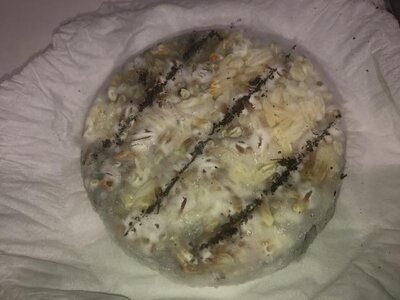 IMG_6826.jpeg IMG_6826.jpeg