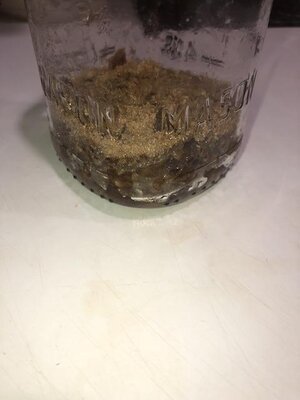 IMG_6840.jpeg IMG_6840.jpeg