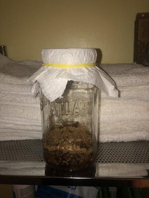 IMG_6841.jpeg IMG_6841.jpeg