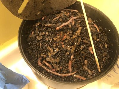 IMG_6842.jpeg IMG_6842.jpeg