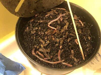 IMG_6843.jpeg IMG_6843.jpeg