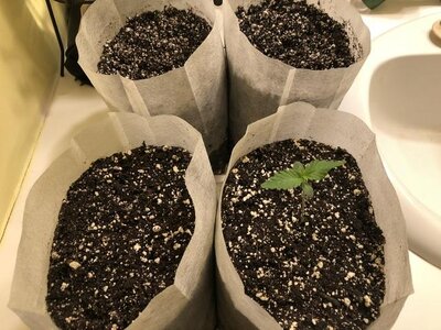 IMG_6854.jpeg IMG_6854.jpeg