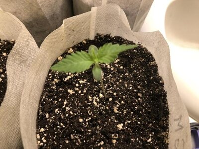 IMG_6855.jpeg IMG_6855.jpeg