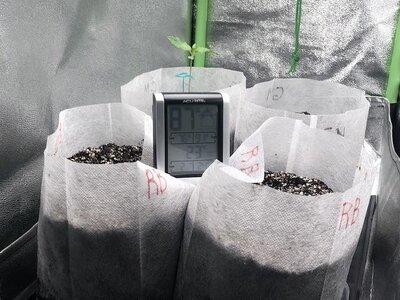 IMG_6860.jpeg IMG_6860.jpeg