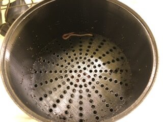 IMG_6856.jpeg IMG_6856.jpeg