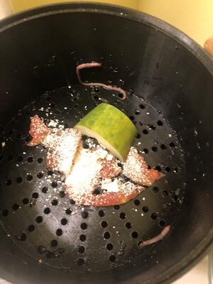 IMG_6866.jpeg IMG_6866.jpeg