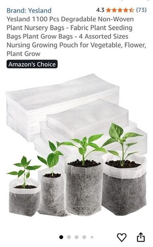 IMG_6827.jpeg IMG_6827.jpeg