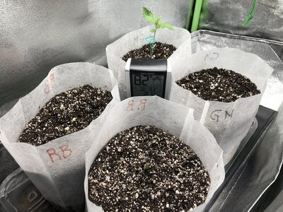 IMG_6884.jpeg IMG_6884.jpeg