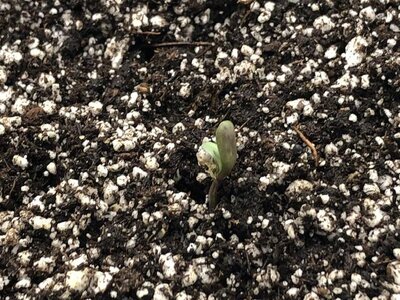 IMG_6885.jpeg IMG_6885.jpeg