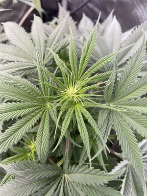 IMG_2860.jpeg IMG_2860.jpeg