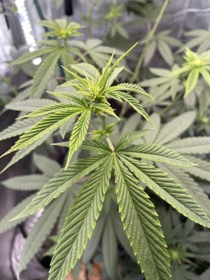 IMG_2859.jpeg IMG_2859.jpeg