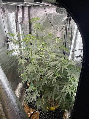 IMG_2858.jpeg IMG_2858.jpeg