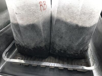 IMG_6882.jpeg IMG_6882.jpeg