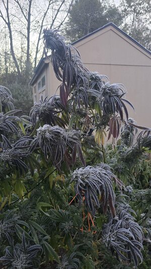 20251010_065512.jpg