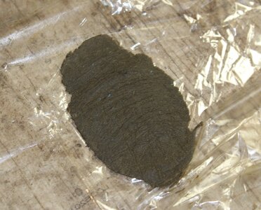 Oct 7 flat hash.JPG