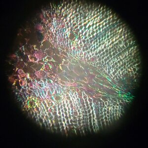 20251013_203755.jpg