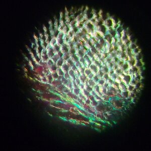 20251013_211325.jpg