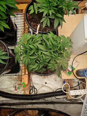 IMG_20251013_230340.jpg IMG_20251013_230340.jpg