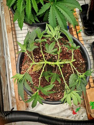 IMG_20251013_232504.jpg IMG_20251013_232504.jpg