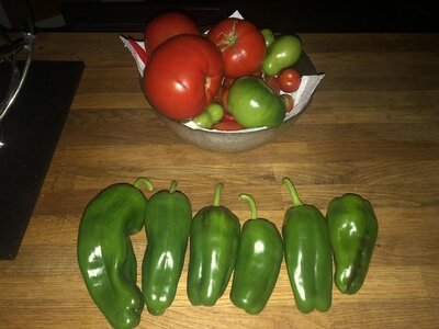 IMG_6927.jpeg IMG_6927.jpeg