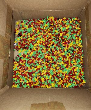 IMG_2485[1].jpeg