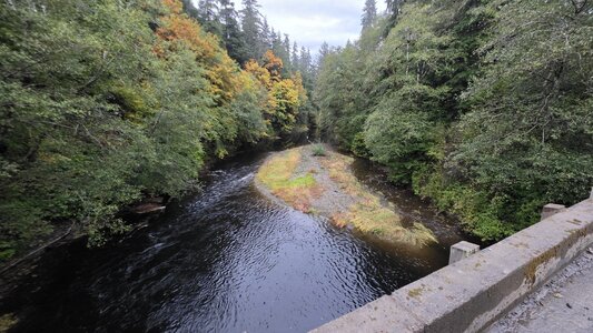 20251010_081501.jpg