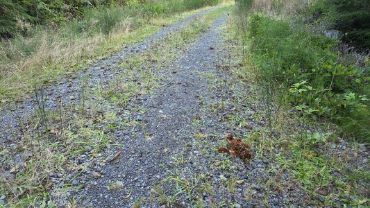 20251009_080516.jpg 20251009_080516.jpg