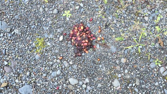 20251009_080544.jpg 20251009_080544.jpg