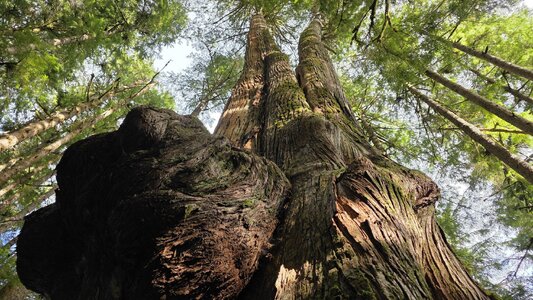 20251008_110645.jpg 20251008_110645.jpg