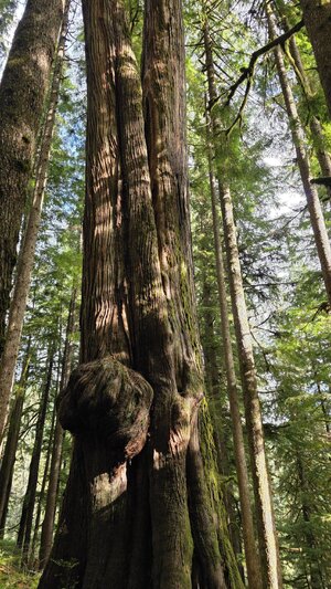 20251008_110556.jpg 20251008_110556.jpg