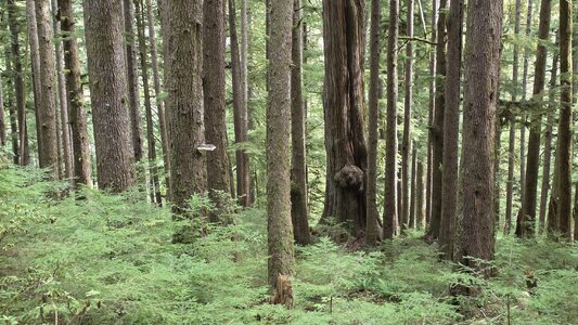 20251008_111621.jpg 20251008_111621.jpg