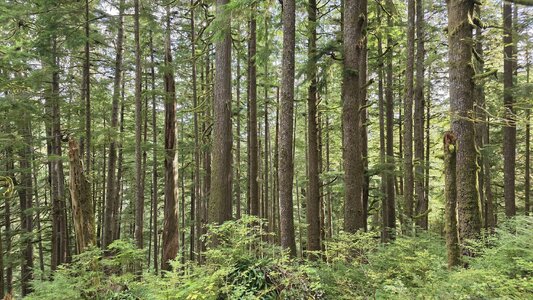 20251008_105826.jpg 20251008_105826.jpg