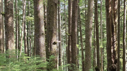 20251008_111506.jpg 20251008_111506.jpg