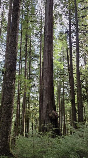 20251008_110431.jpg 20251008_110431.jpg