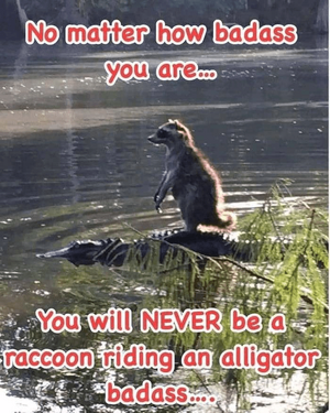 1760571672919.png