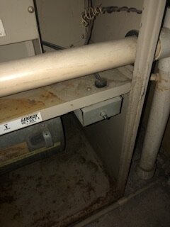 IMG_6958.jpeg IMG_6958.jpeg