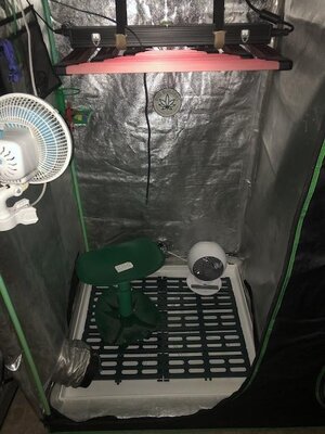 IMG_6981.jpeg IMG_6981.jpeg