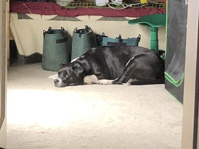 IMG_6987.jpeg