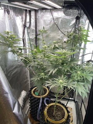 IMG_2962.jpeg IMG_2962.jpeg