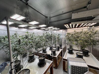 IMG_9193.jpeg IMG_9193.jpeg