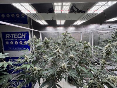 IMG_9194.jpeg IMG_9194.jpeg