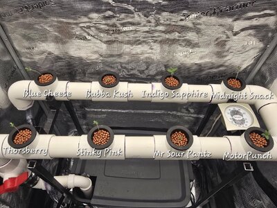 20251021_164544.jpg 20251021_164544.jpg