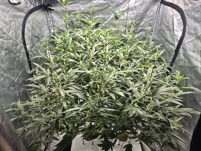 20251023_120651.jpg 20251023_120651.jpg